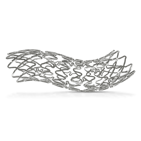 Metafor sirolimus eluting stent