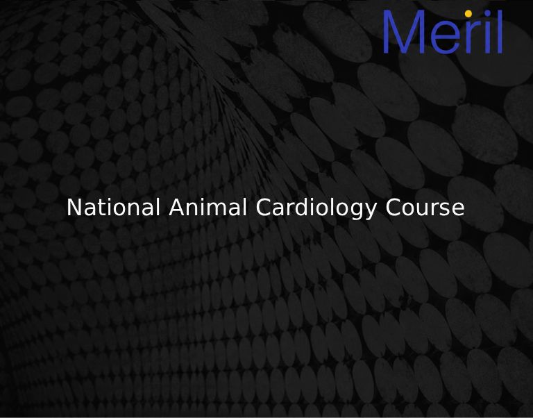 National Animal Cardiology Course