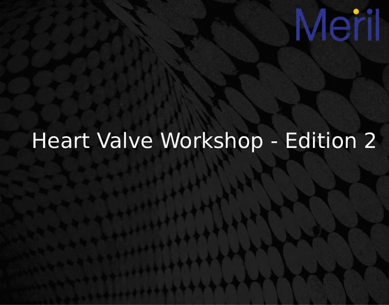 Heart Valve Workshop - Edition 2