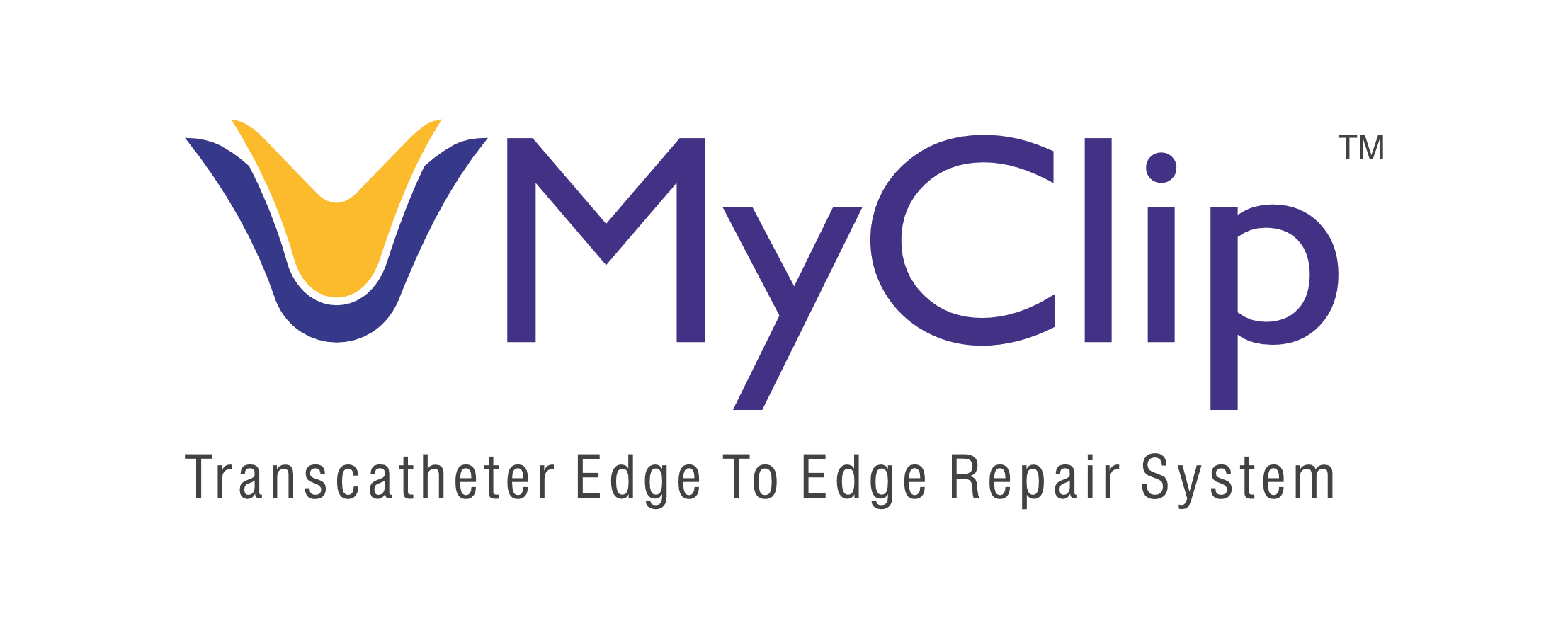 Final MyClip Logo 7 6 2025.png