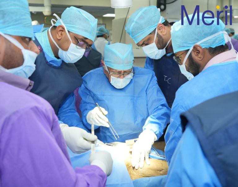 Master Pelvic Course