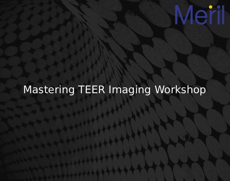 Mastering TEER Imaging Workshop