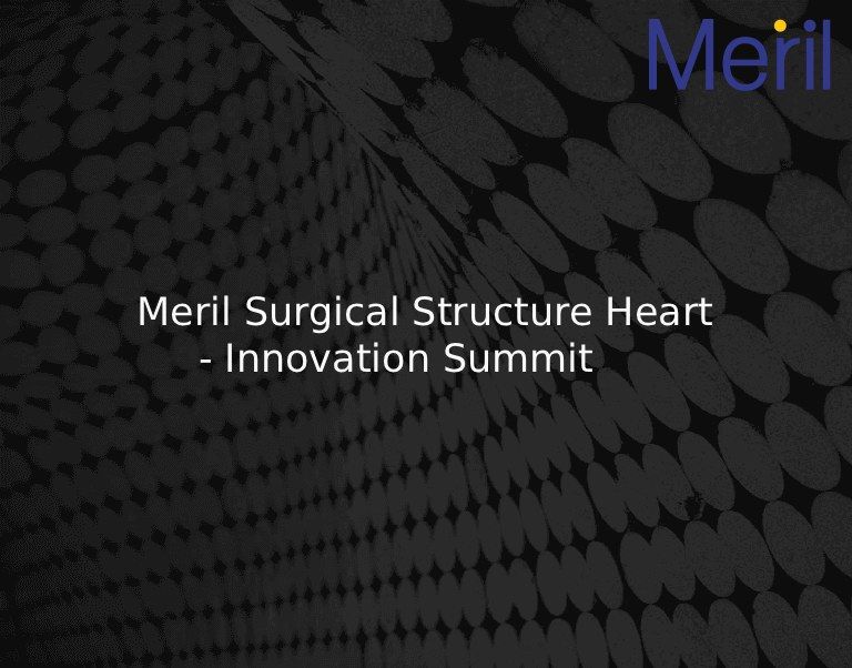 Meril Surgical Structure Heart - Innovation Summit