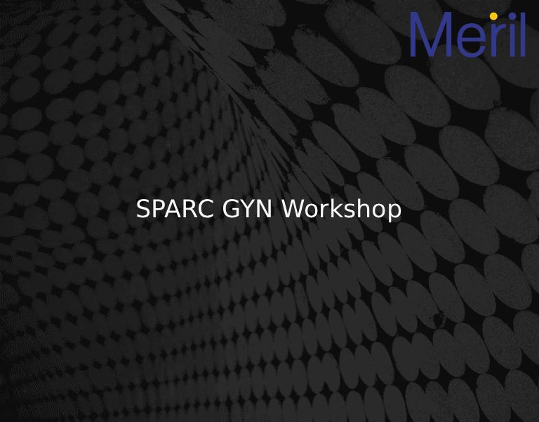 SPARC GYN Workshop