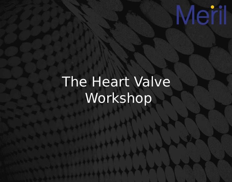 The Heart Valve Workshop