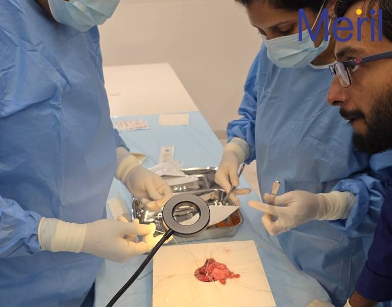 The Heart Valve Workshop