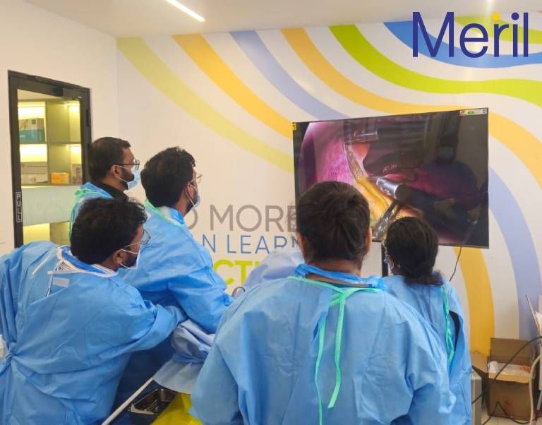 The Minimally Invasive Abdomen Surgery Workshop