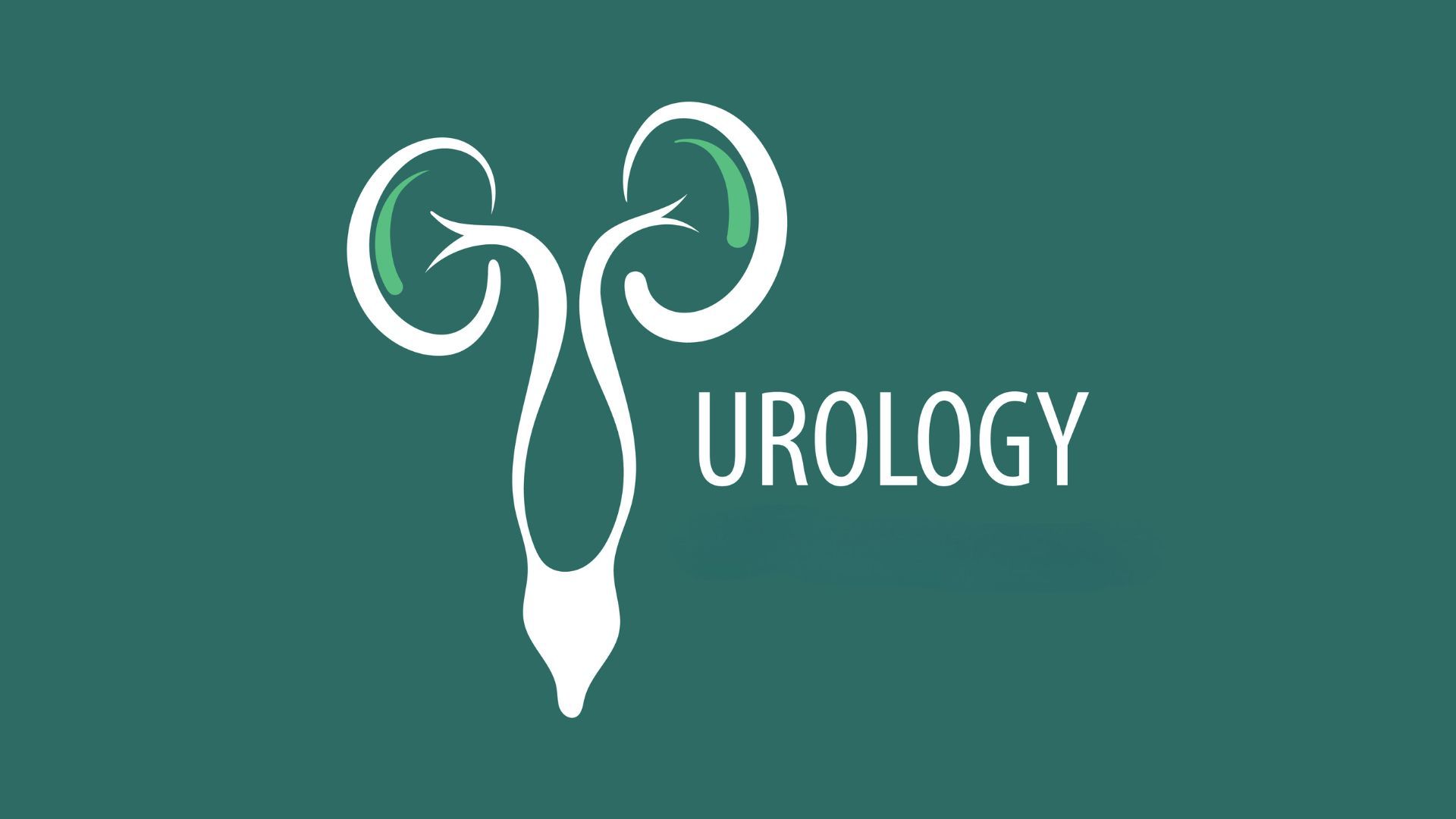 What is Urology? Understanding Associated Diseases, Conditions, and Treatment Options