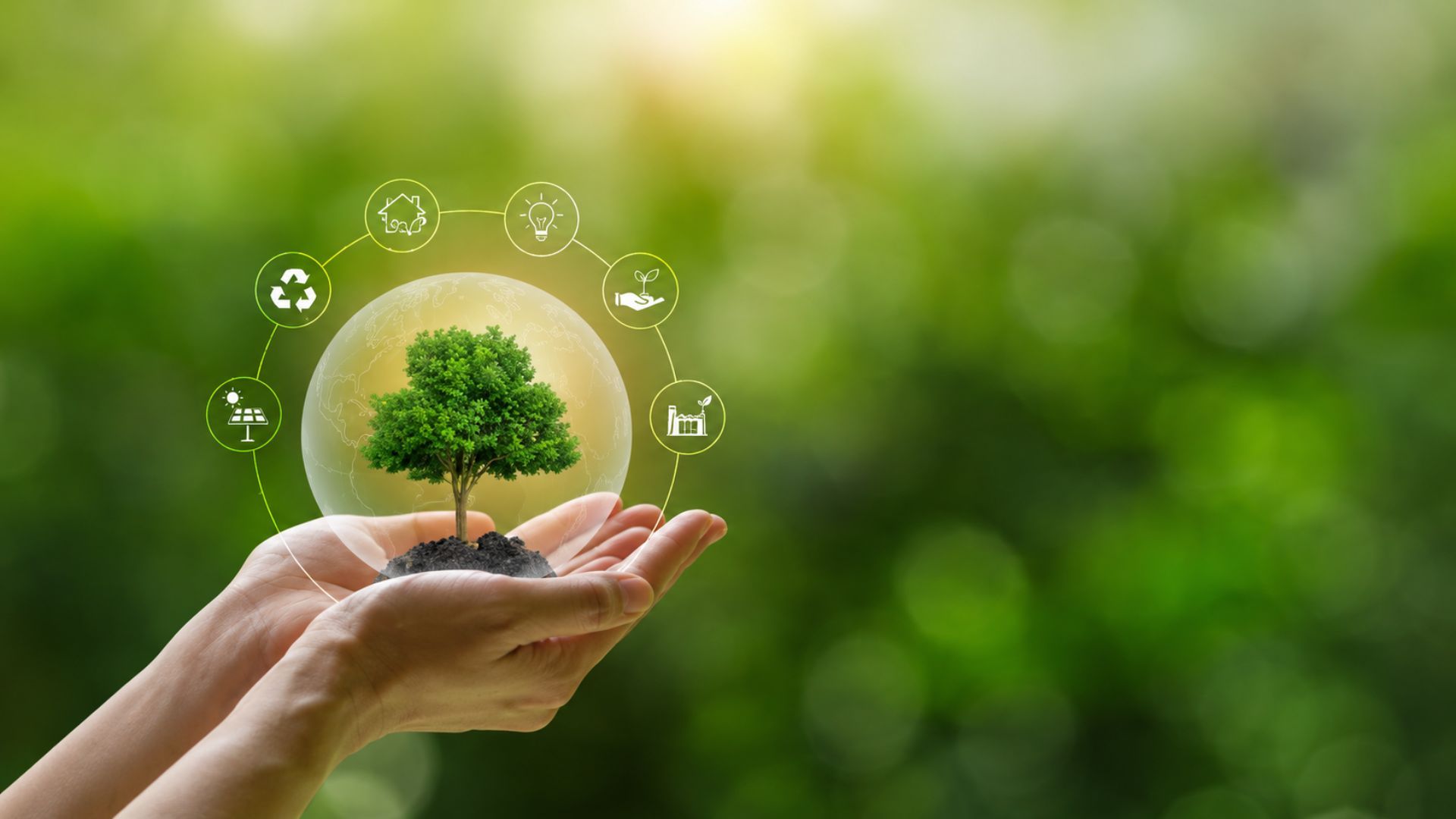 World Environment Day: ESG in Medtech