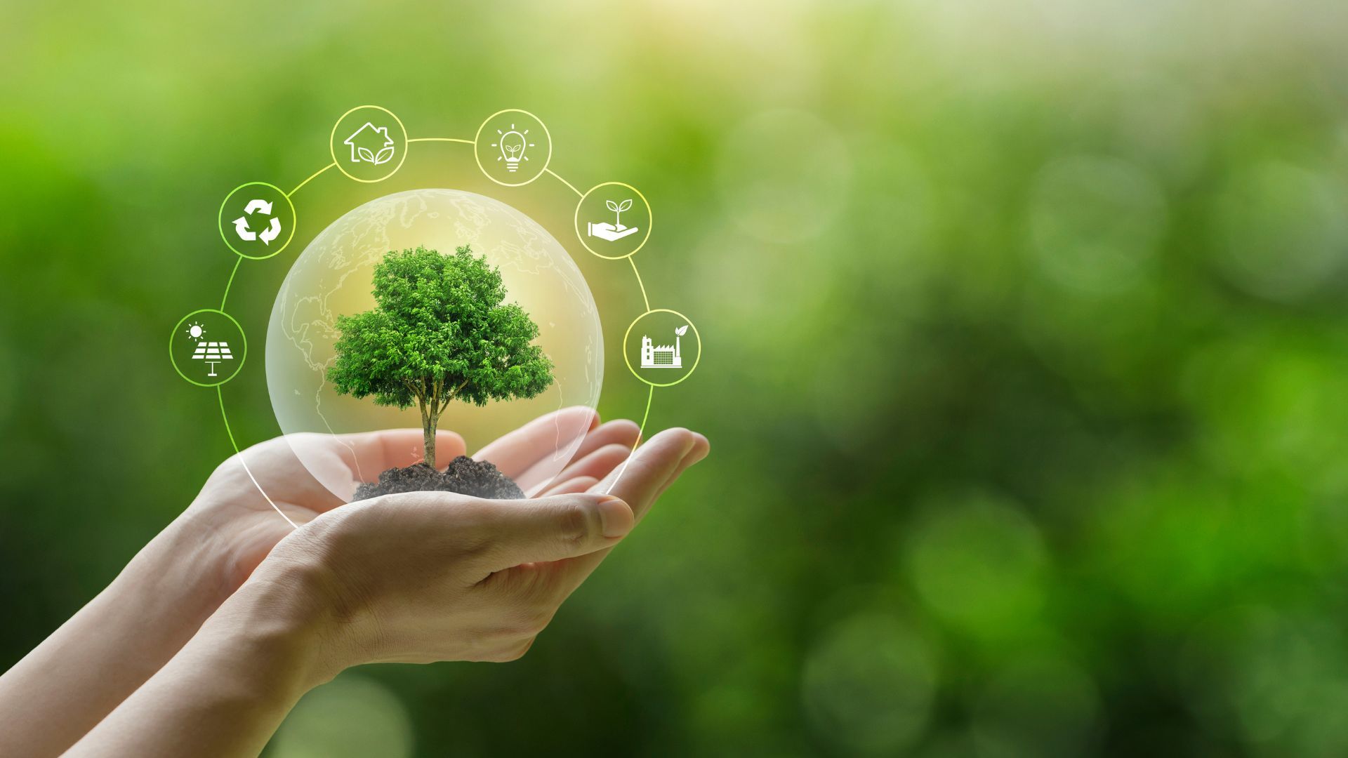 World Environment Day: How ESG is shaping the Future of Medical Technology