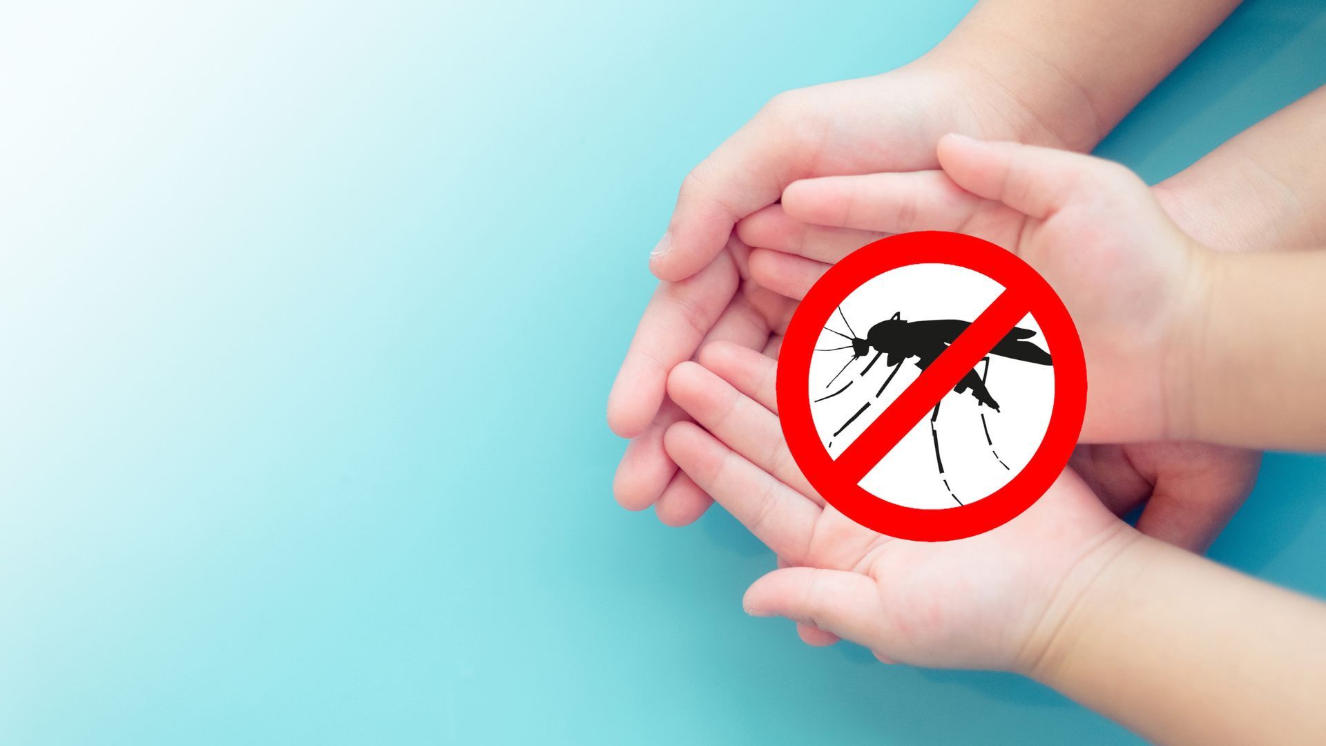 World Malaria Day: Climate Risks, Early Detection, and Malaria Prevention