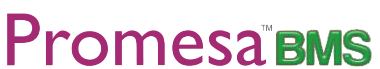 promessa_bg.png